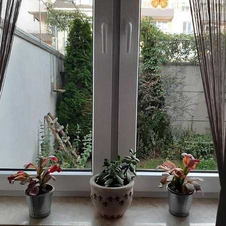 Apartament Di Trevi - Klimatyzacja Breslávia Exterior foto